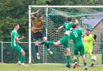Wasps pay the penalty after buzzing high-flying RTB