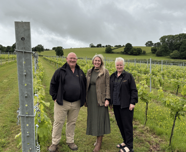 Laura Anne Jones at White Castle Vineyard