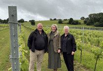 Discover Wales' award-winning vineyard tradition