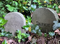 
The mystery of the headstones of Linda Vista Gardens 
