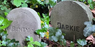 
The mystery of the headstones of Linda Vista Gardens 
