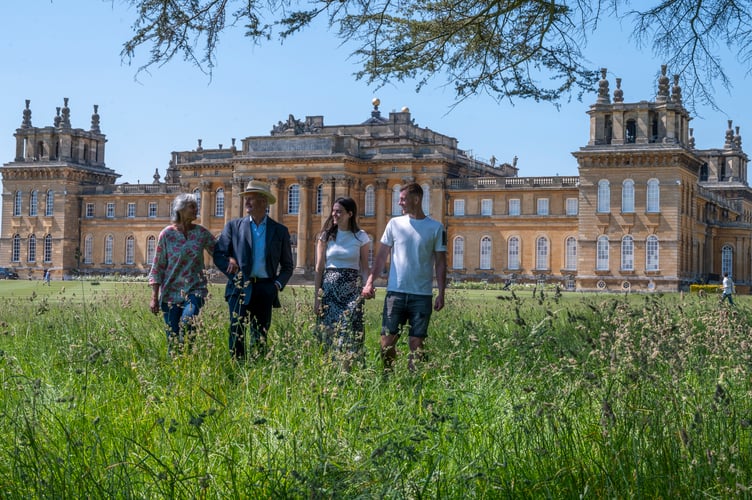 blenheim palace
