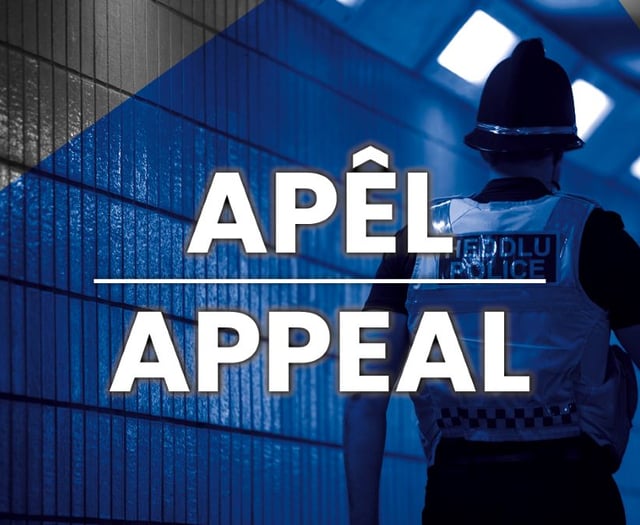 Police appeal for witnesses to Brynmawr collision