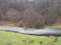 
Something strange found in Abergavenny beauty spot! 