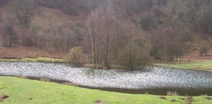 
Something strange found in Abergavenny beauty spot! 