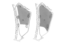 New proposal could expand wildflower meadow in Crickhowell