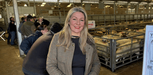 Cutting support for rural youth the wrong call, says MS