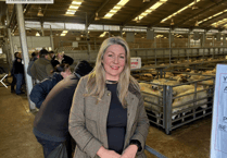 Welsh farmers protest restrictions