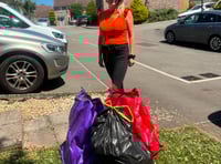 
Welsh Government tells councils to collect black bins less regularly 