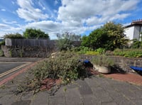 

Abergavenny Library Gardens attacked by vandals 