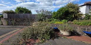 

Abergavenny Library Gardens attacked by vandals 