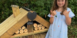 Buzzing with excitement as bug hotel design unveiled at  church