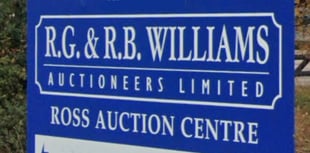 News from Ross Livestock Market