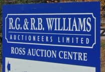 News from Ross Livestock Market