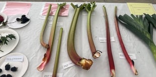 Growth for gardeners ahead of second Abergavenny summer allotment show