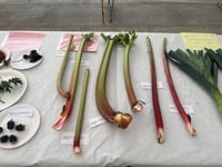 Growth for gardeners ahead of second Abergavenny summer allotment show