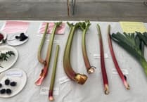 Growth for gardeners ahead of second Abergavenny summer allotment show