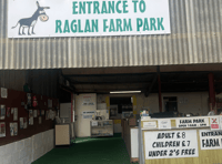 Summer Fun at Raglan Farm Park