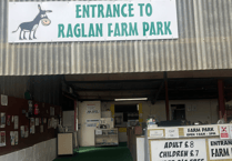 Family fun awaits at Raglan Farm Park