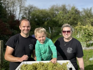 Fancy a day amongst the vines? 