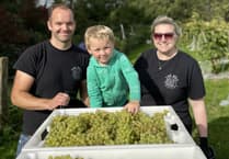 Fancy a day amongst the vines?