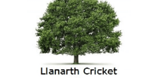 Dinas down Llanarth 1sts, but Page blasts 173 for 2nds