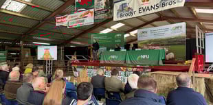 Join NFU Cymru for fifth Sustainable Farming Conference