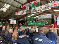 Join NFU Cymru for fifth Sustainable Farming Conference