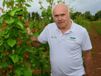 Andrew Green extends UK broccoli season