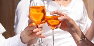  Alcohol licence bid for Llandewi Rhydderch premises