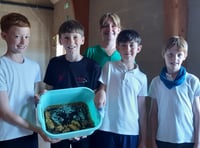 Records tumble at local heart charity’s Potato Growing Challenge