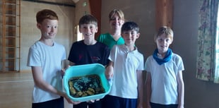 Records tumble at local heart charity’s Potato Growing Challenge