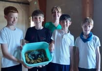 Records tumble at local heart charity’s Potato Growing Challenge