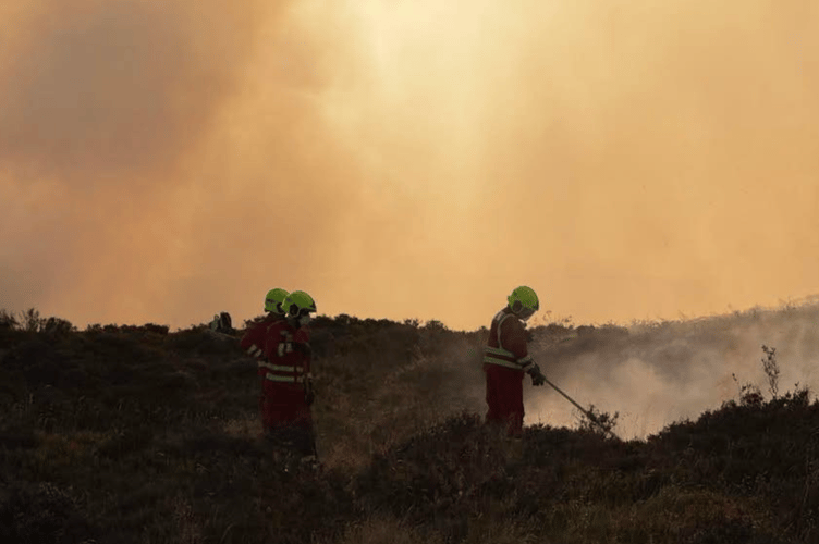Wildfire between Abergavenny and Tredegar (11.08.25)