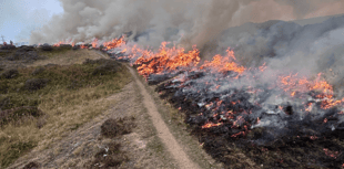Wildfire near Abergavenny started deliberately, says fire service