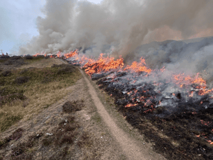 Wildfire near Abergavenny started deliberately, says fire service