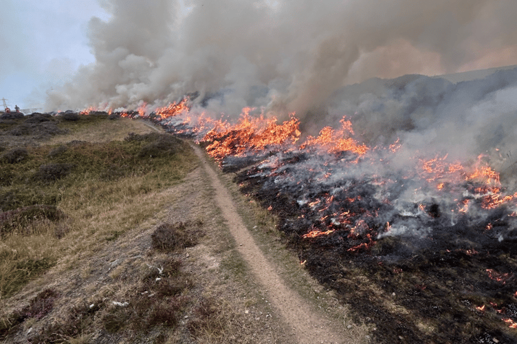 Wildfire near Abergavenny 12.08.25
