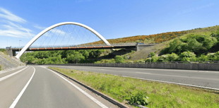 Two horses die after being hit on A465