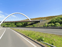 Two horses die after being hit on A465