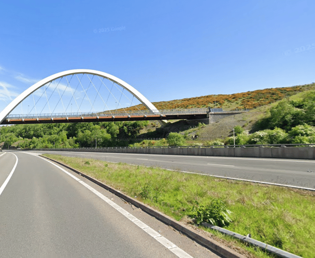 Two horses die after being hit on A465