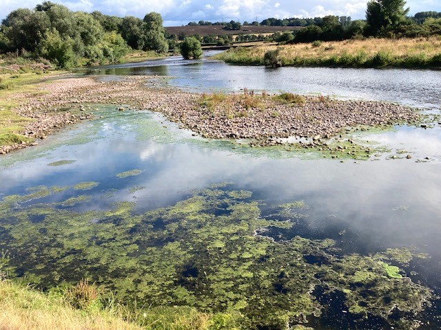 South east Wales moves into drought following driest time in 50 years