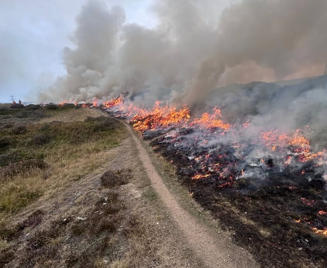 Hillside wildfire lights up sky 20 miles away 