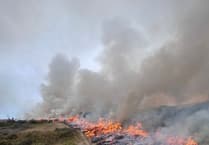 Hillside wildfire lights up sky 20 miles away
