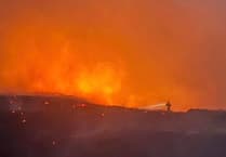Firefighters withdrawn after battling Clydach Dingle wildfire
