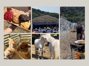 Monmouthshire Show: Fun for everyone this August 