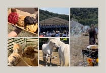 Monmouthshire Show returns with family-friendly entertainment!
