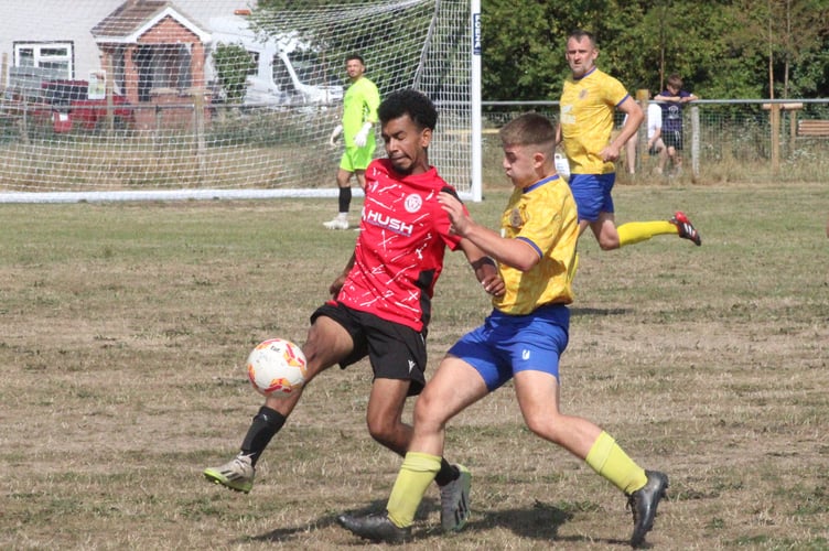 Mardy v Machen 5