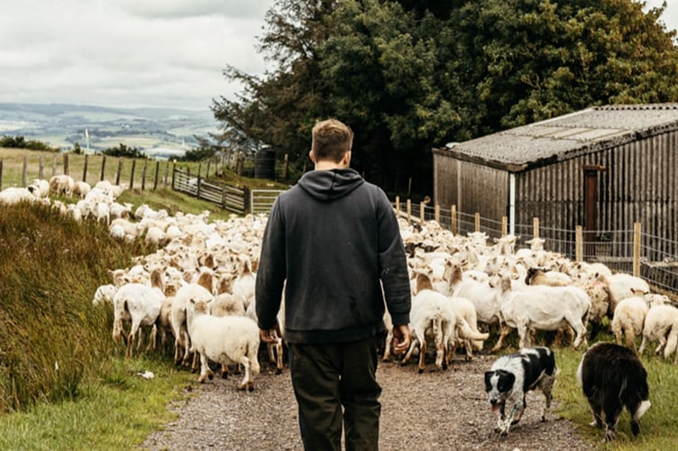 Welsh farmers and producers are at the heart of Love Lamb Week, celebrating 10 years of lamb, nutrition, and sustainable farming