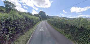 Horse dies after collision with car near village