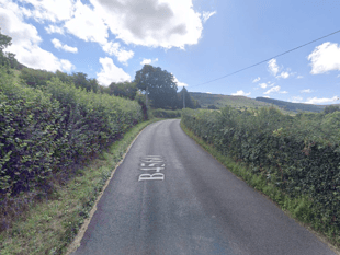 Horse dies after collision with car near village